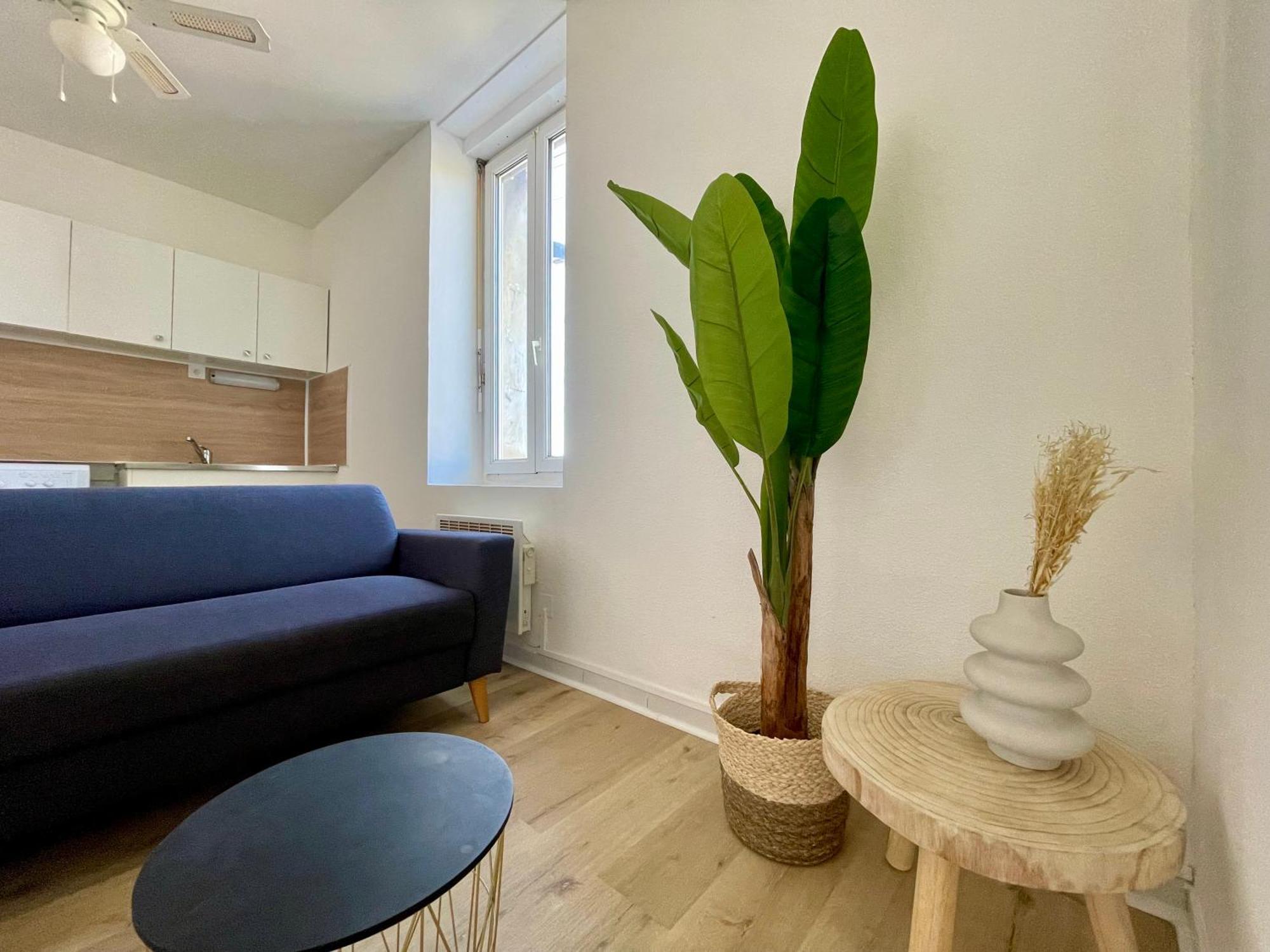 Les Appartements - Canal Du Midi Каркасон Екстериор снимка
